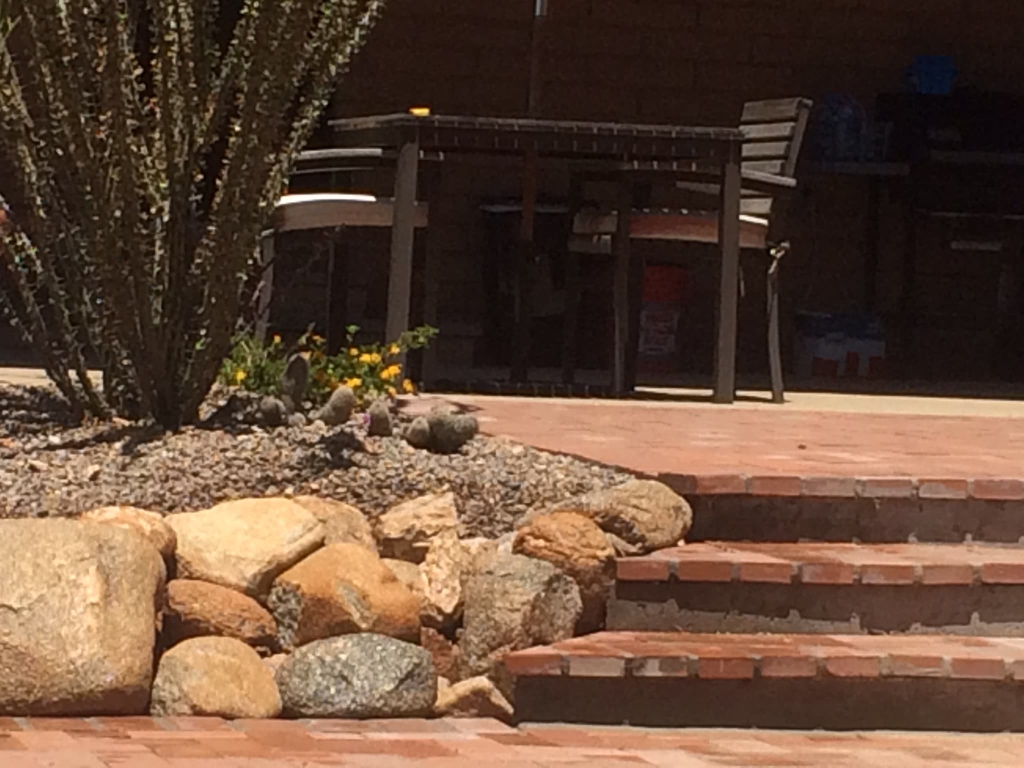 Landscaping in Tucson, AZ Arizona Landshapes LLC