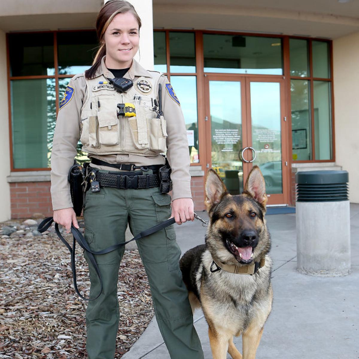 Arizona Law Enforcement Association