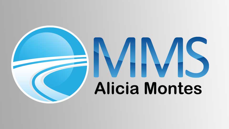 Montes Multiple Services, LLC Motor Vehicle Providers Association