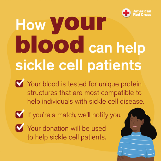 Red Cross Board Member Speaks About the Need for Blood Donors in the