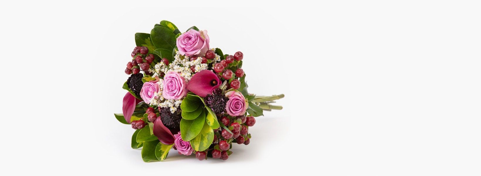 The best collection of affordable forever roses attracts everyone