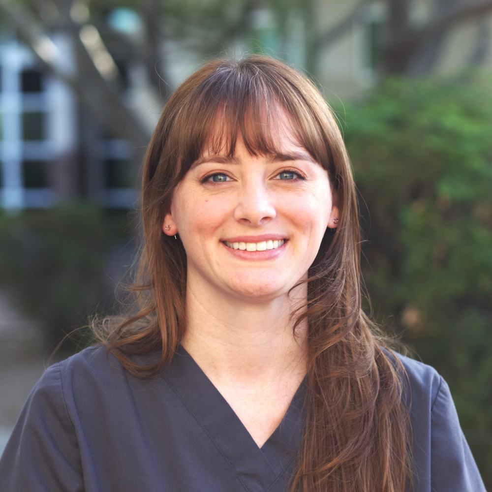 Chandler Endodontic Team AZ Roots Endodontics