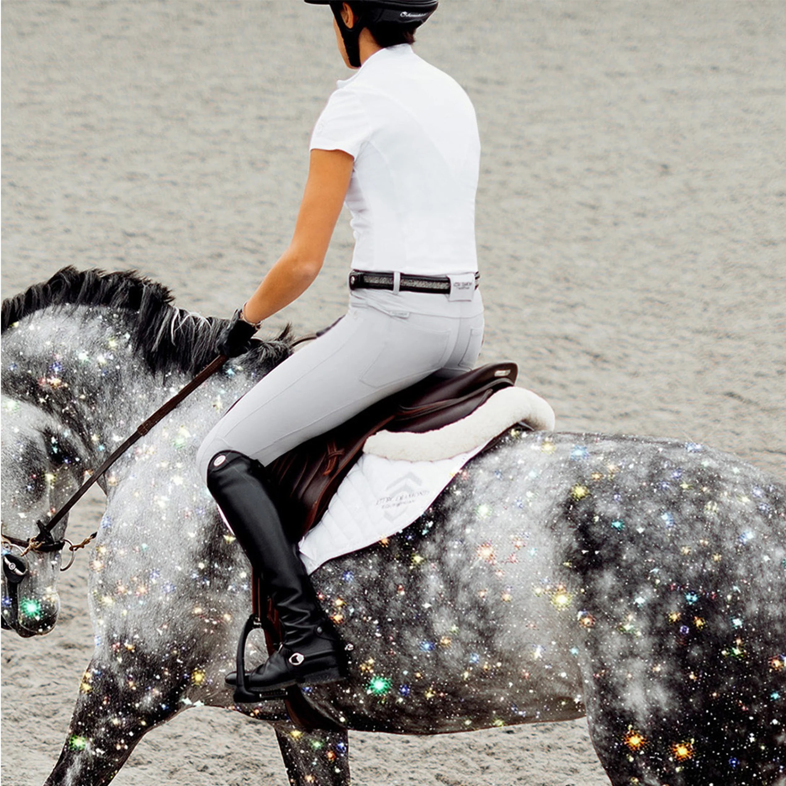 Aztec Diamond X Art Etoile Aztec Diamond Equestrian