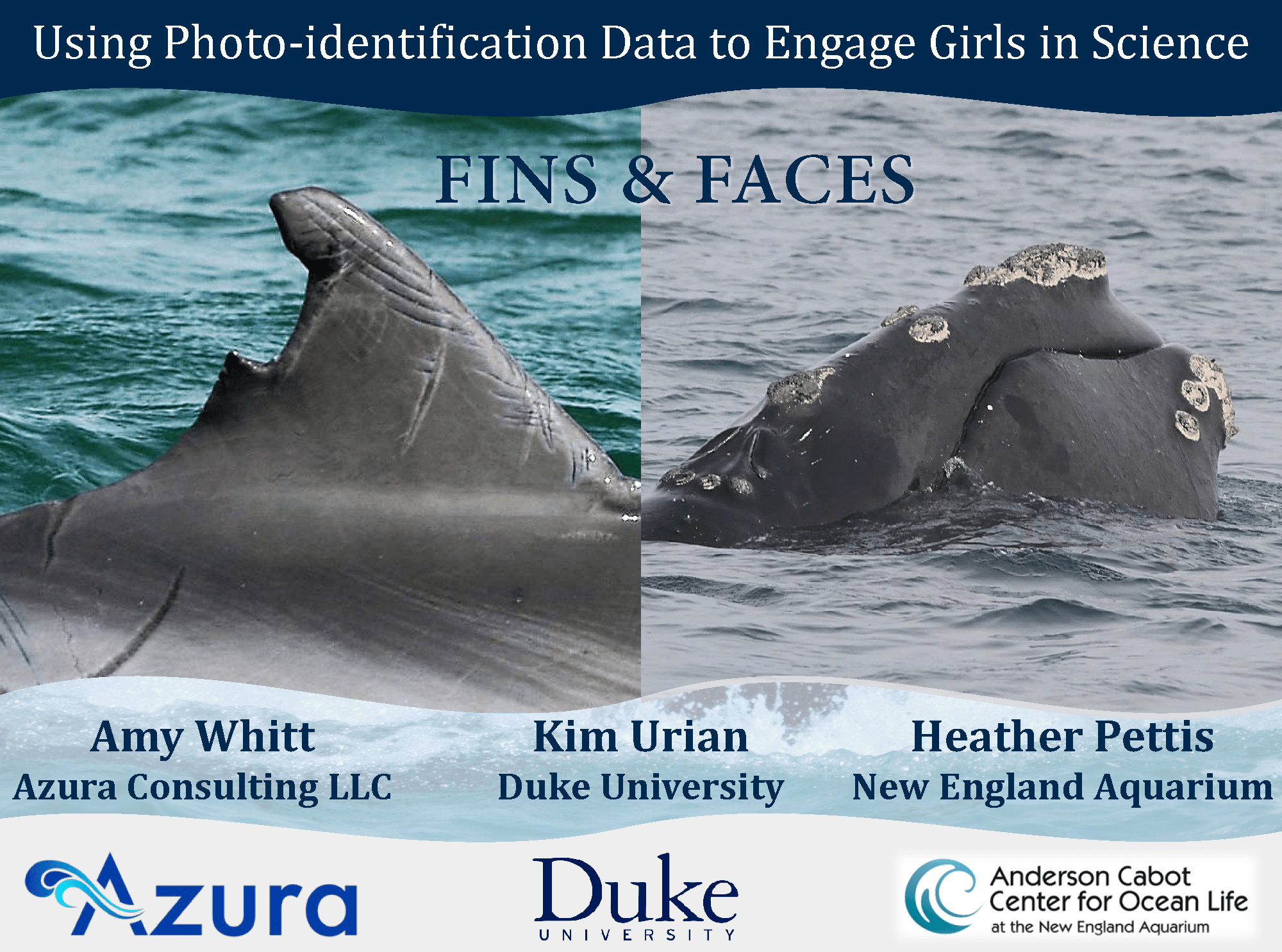 Presentation during 22nd Biennial Society for Marine Mammalogy Conference on the Biology of