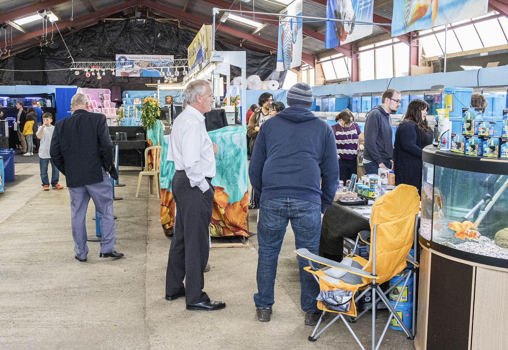 The Best Places to Buy Live Aquarium Fish Practical Fishkeeping