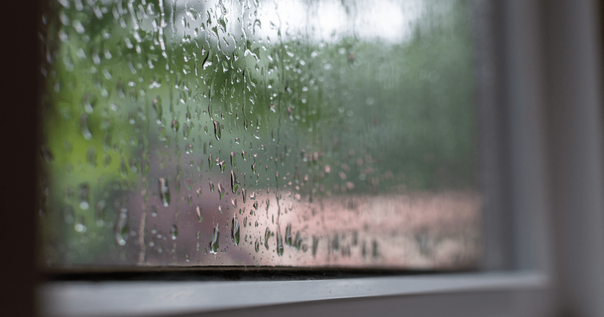 Signs That Your House Needs New Windows AZ Valley Windows