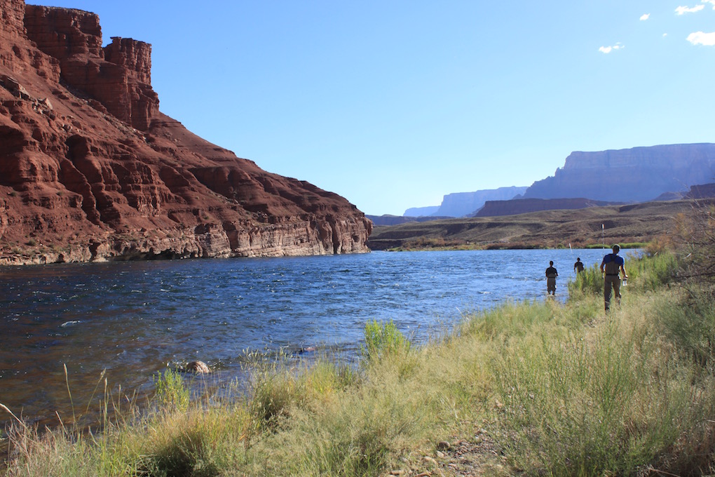 Arizona Fly Fishing Lees Ferry Arizona WanderingsArizona Wanderings