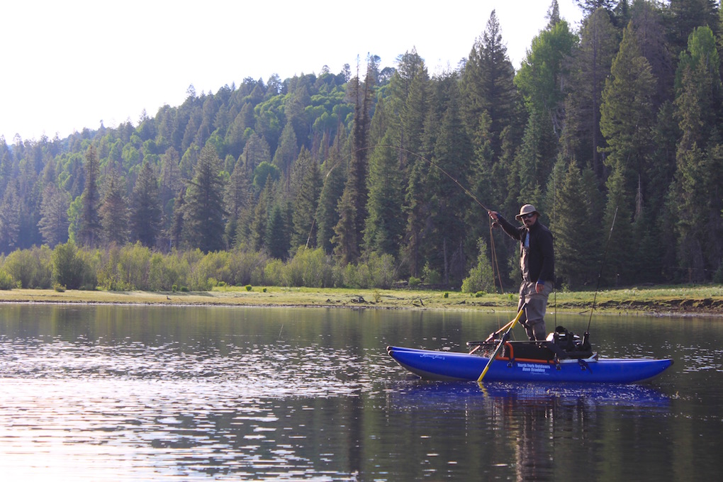 Fly Fishing Arizona Christmas Tree Lake Arizona WanderingsArizona