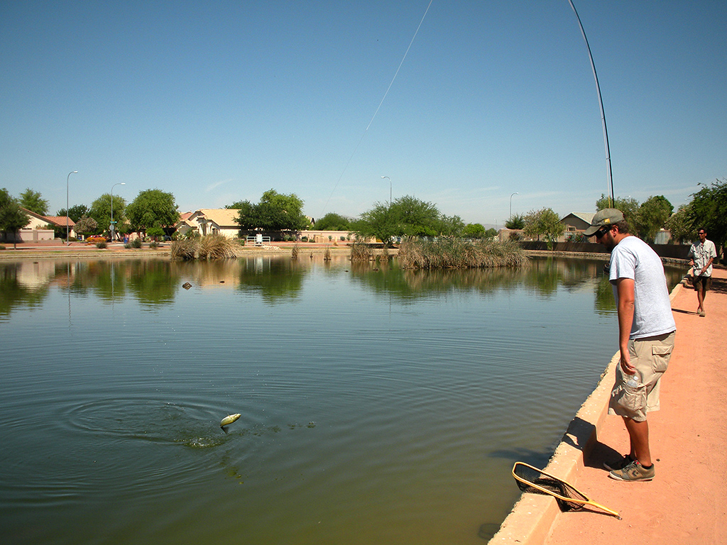 Fly Fishing Arizona A stroll around the ponds Arizona