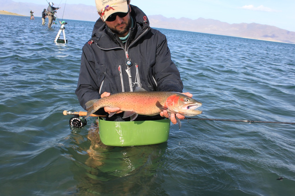 Fly Fishing Pyramid Lake The Basics Arizona WanderingsArizona Wanderings