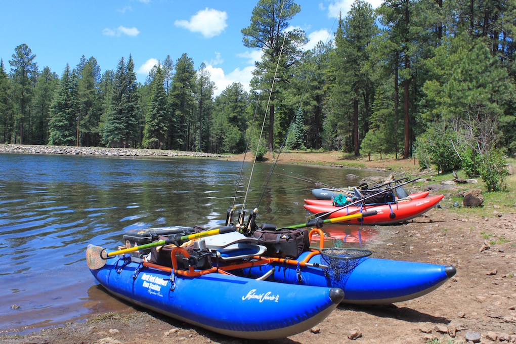 Fly Fishing Arizona Christmas Tree Lake Arizona WanderingsArizona