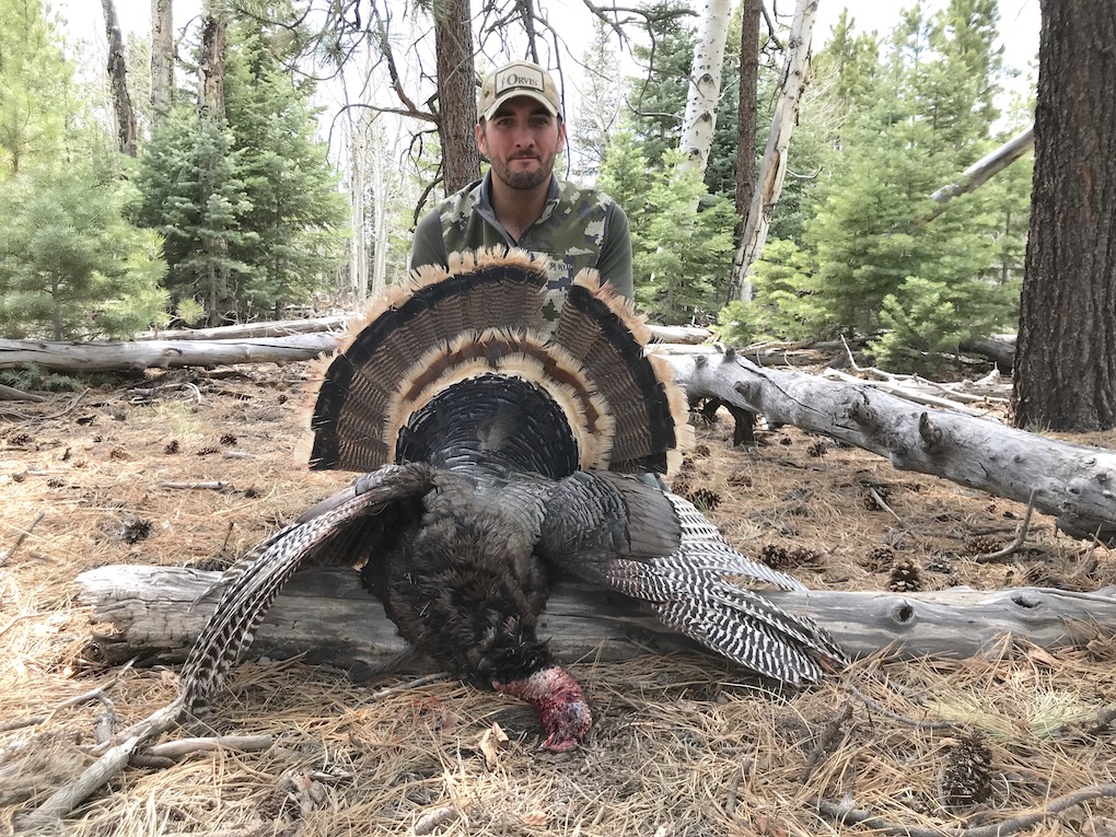 Arizona Wanderings Page 5 of 77 fishing, hunting, and roaming