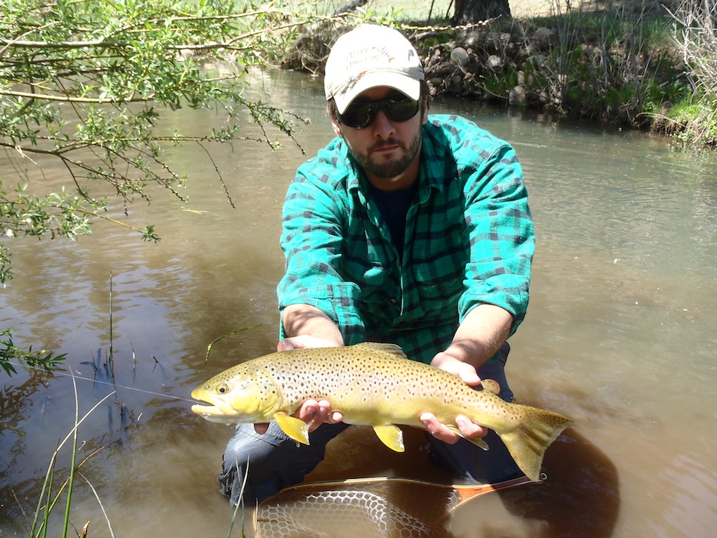 Fly Fishing Arizona It only takes one fish Arizona WanderingsArizona