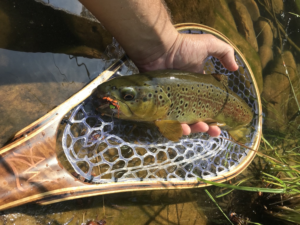 Fly Fishing Arizona A winter afternoon Arizona WanderingsArizona
