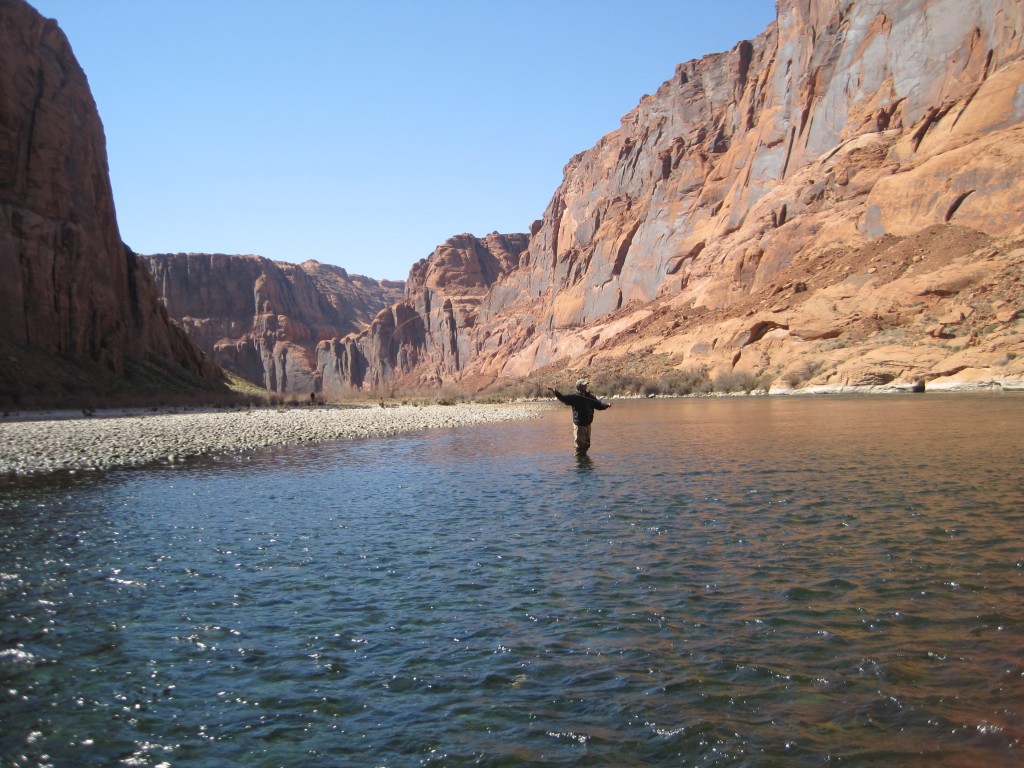Arizona Fly Fishing Lees Ferry (Part 1) Arizona WanderingsArizona