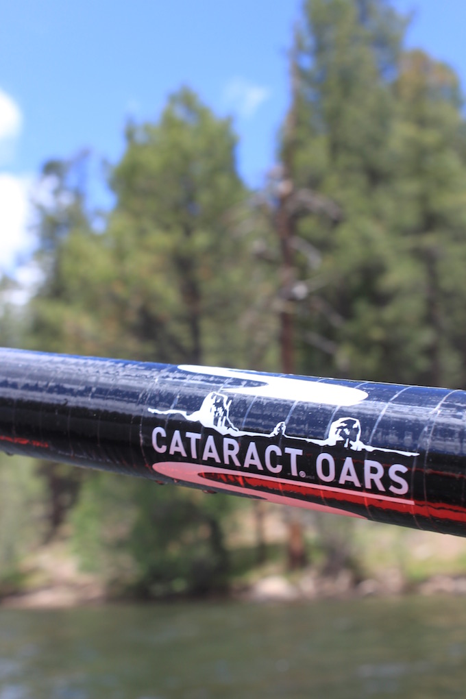 Arizona Fly Fishing Christmas Tree Lake Arizona WanderingsArizona