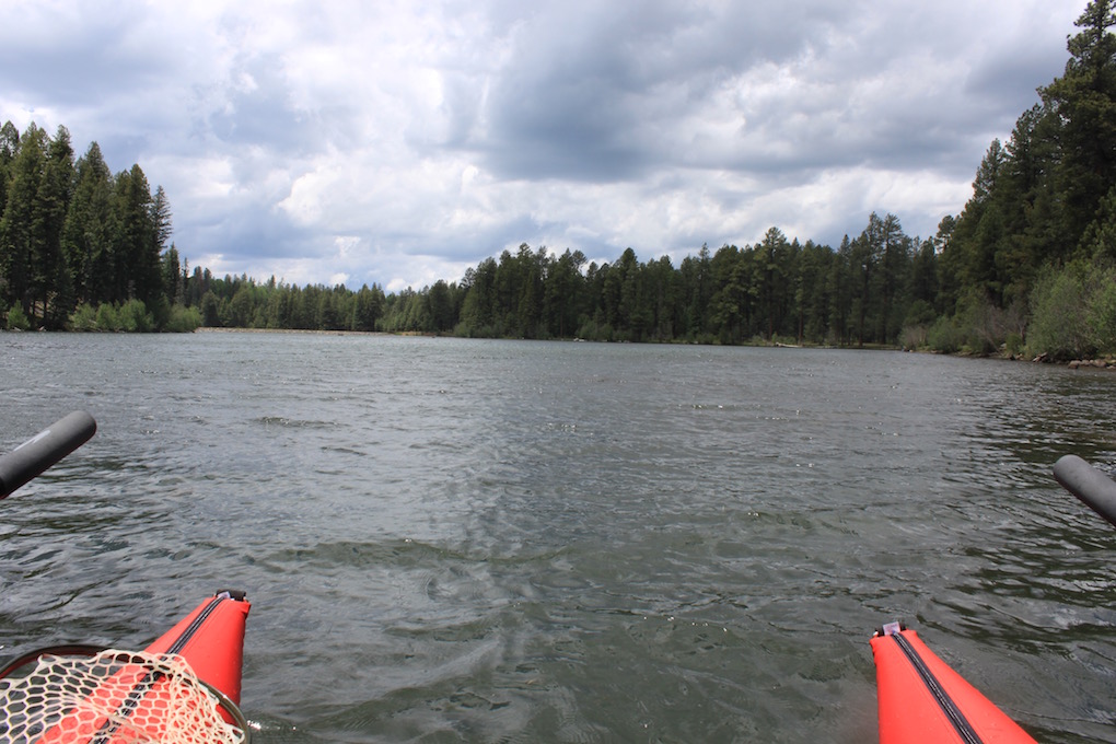 Arizona Fly Fishing Christmas Tree Lake Arizona WanderingsArizona