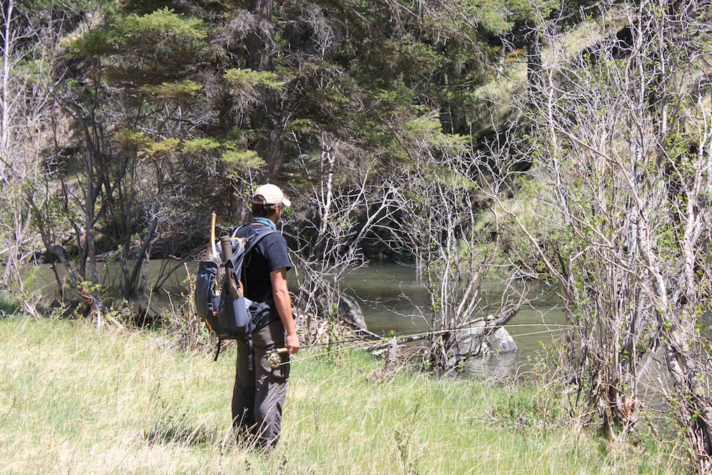 Arizona Fly Fishing Exploring the White Mountains Arizona