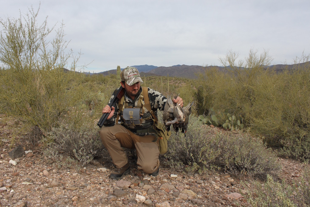 Arizona Quail Hunting Field to Table Arizona WanderingsArizona