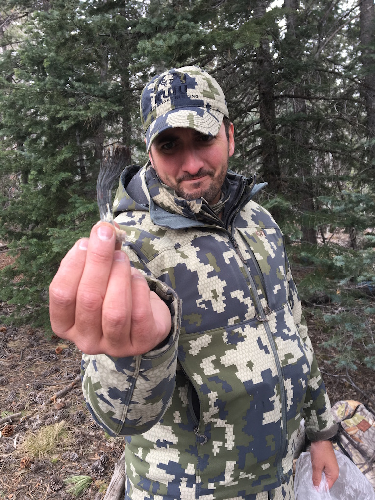 Arizona Turkey Hunting Daily Double Arizona WanderingsArizona Wanderings