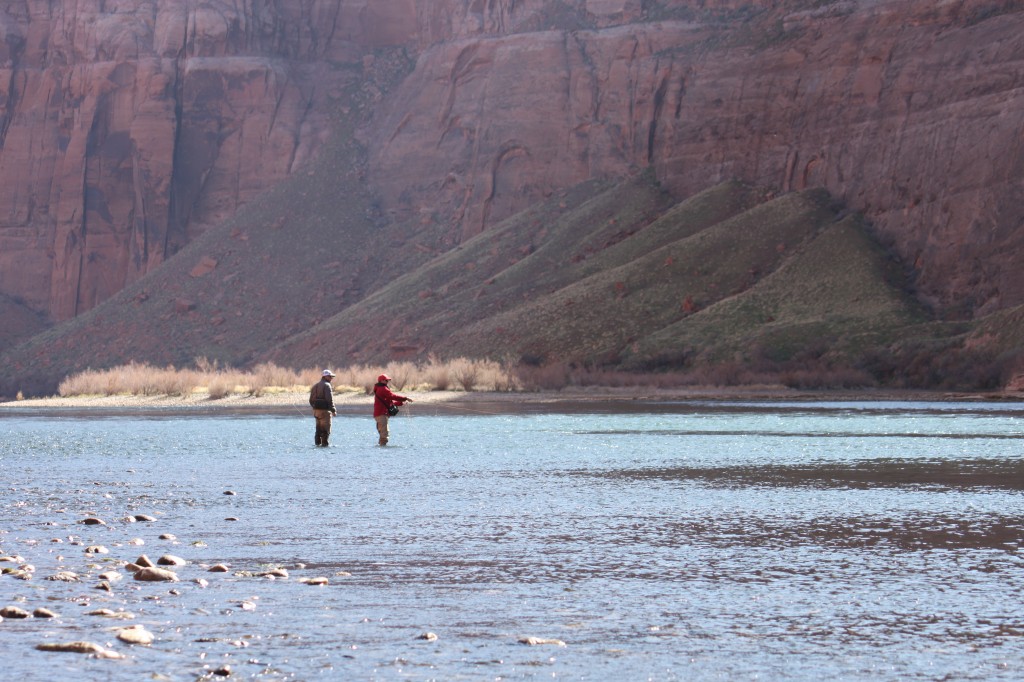 Arizona Fly Fishing Lees Ferry (Part 2) Arizona WanderingsArizona