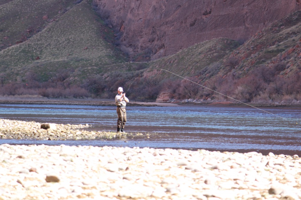 Arizona Fly Fishing Lees Ferry (Part 2) Arizona WanderingsArizona