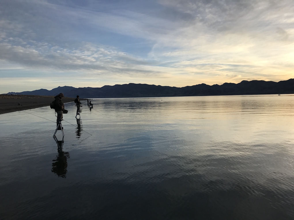 A Pyramid Lake Photo Essay LaptrinhX / News