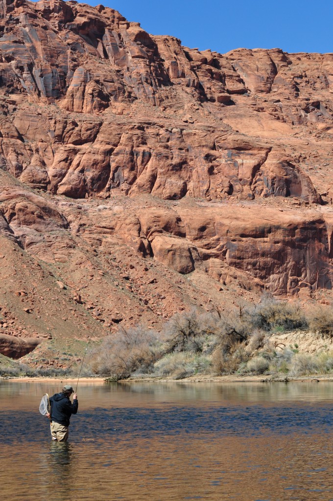 Arizona Fly Fishing Lees Ferry (Part 1) Arizona WanderingsArizona