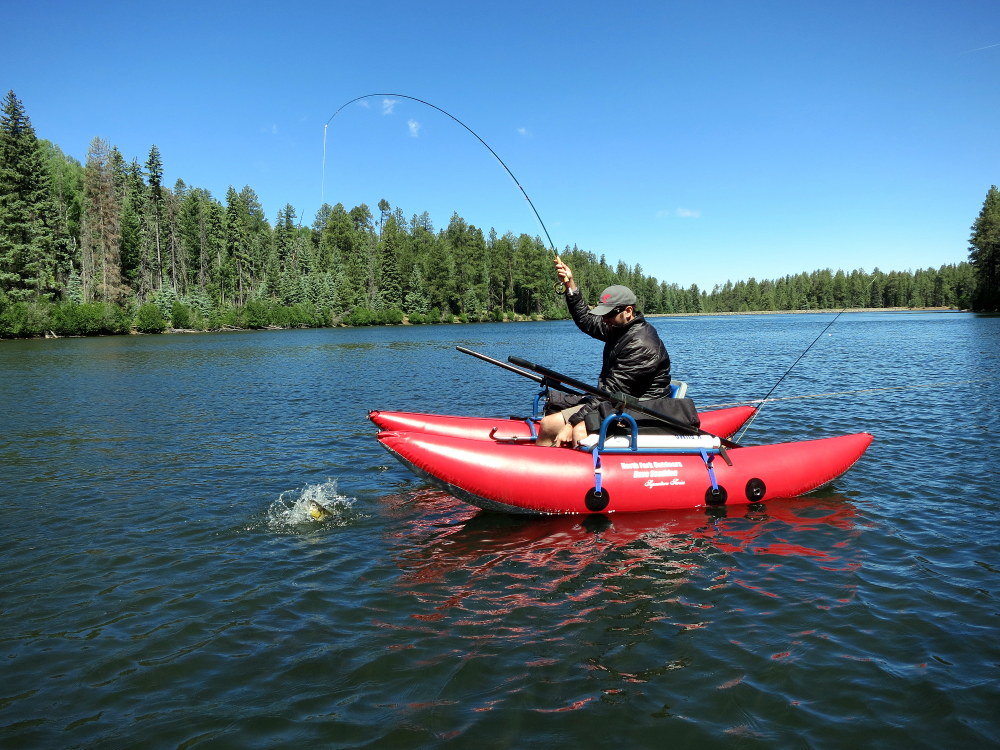 Arizona Fly Fishing Christmas Tree Lake Arizona WanderingsArizona