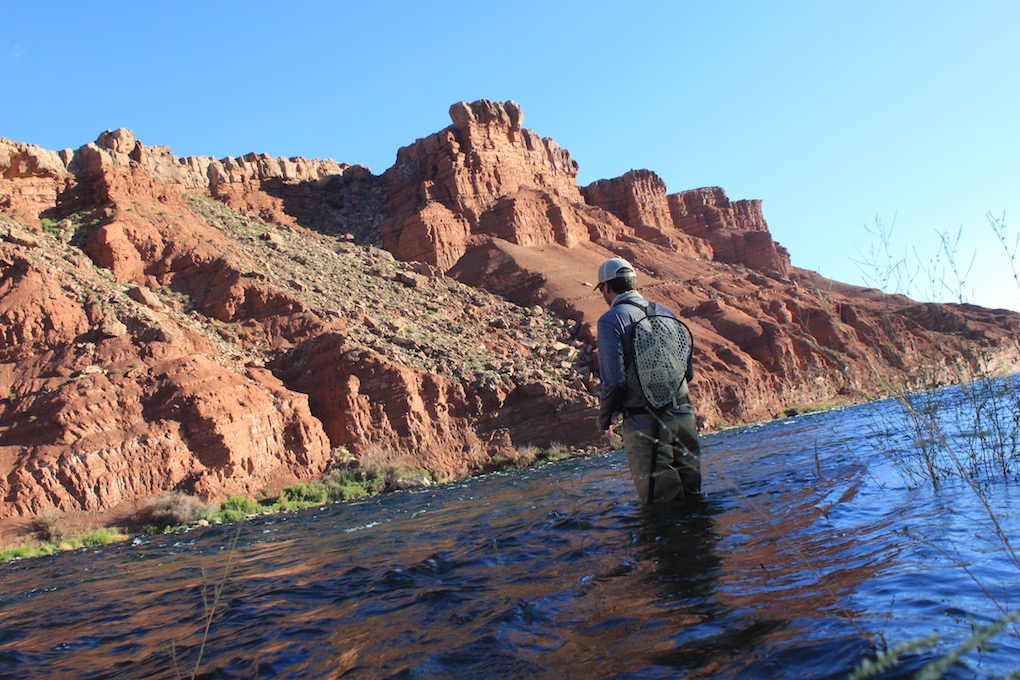 Arizona Fly Fishing Lees Ferry Arizona WanderingsArizona Wanderings