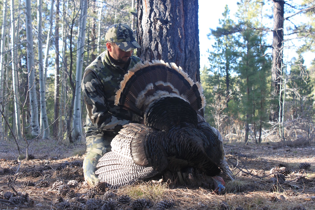 Arizona Turkey Hunting A long time coming Arizona WanderingsArizona