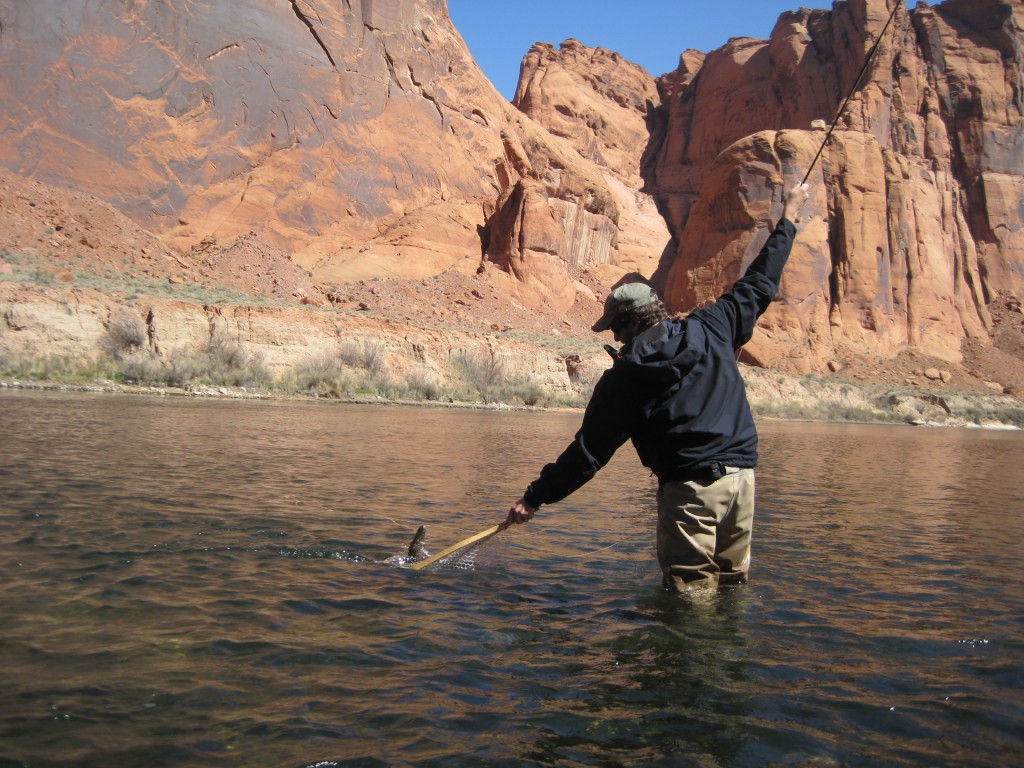 Arizona Fly Fishing Lees Ferry (Part 1) Arizona WanderingsArizona