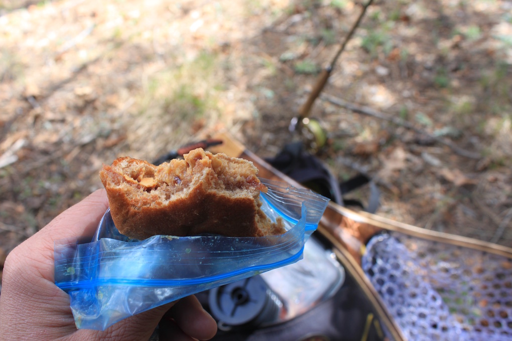 Arizona Fly Fishing Spring Arizona WanderingsArizona Wanderings