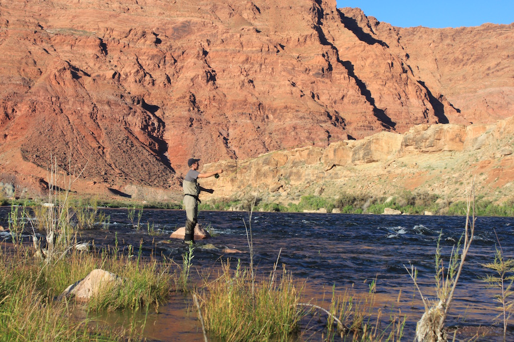 Arizona Fly Fishing Lees Ferry Arizona WanderingsArizona Wanderings