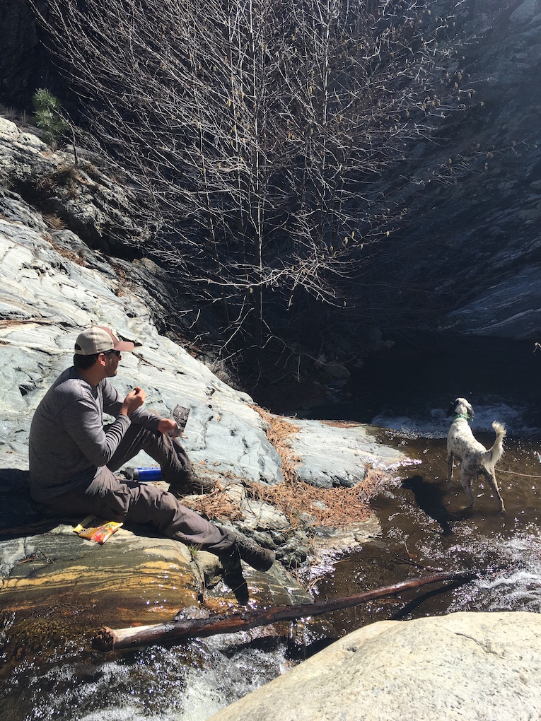 Arizona Fly Fishing Gila Trout Arizona WanderingsArizona Wanderings