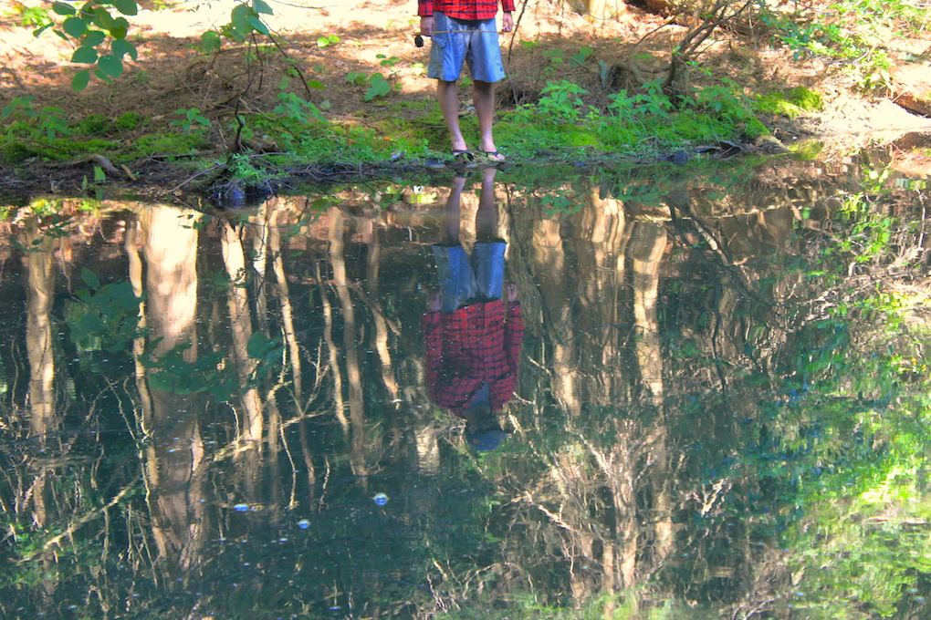 Arizona Fly Fishing Christmas Tree Lake Arizona WanderingsArizona