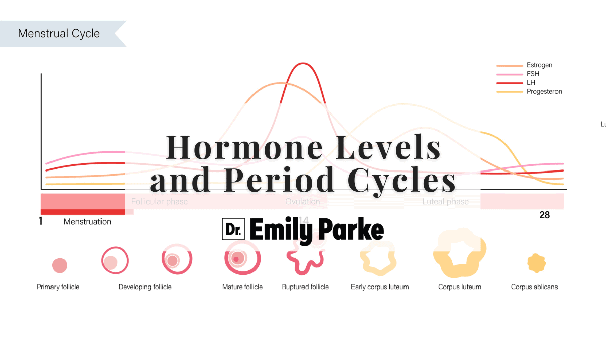 Hormone Levels and Period Cycles