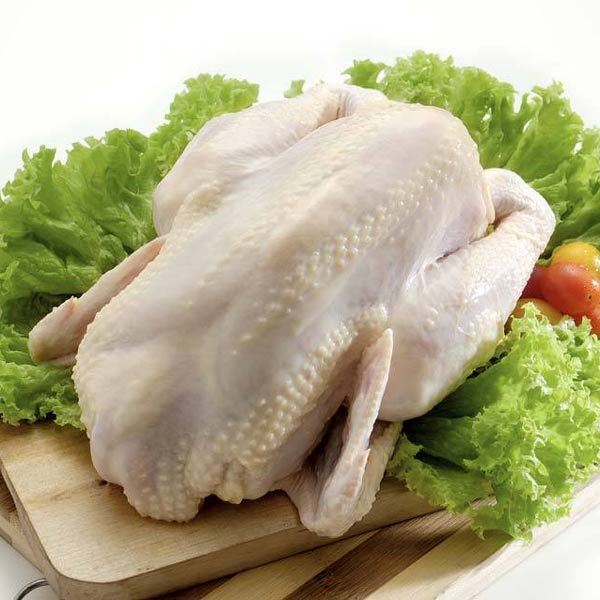 ayam Harga Ayam Organik Delima Emas