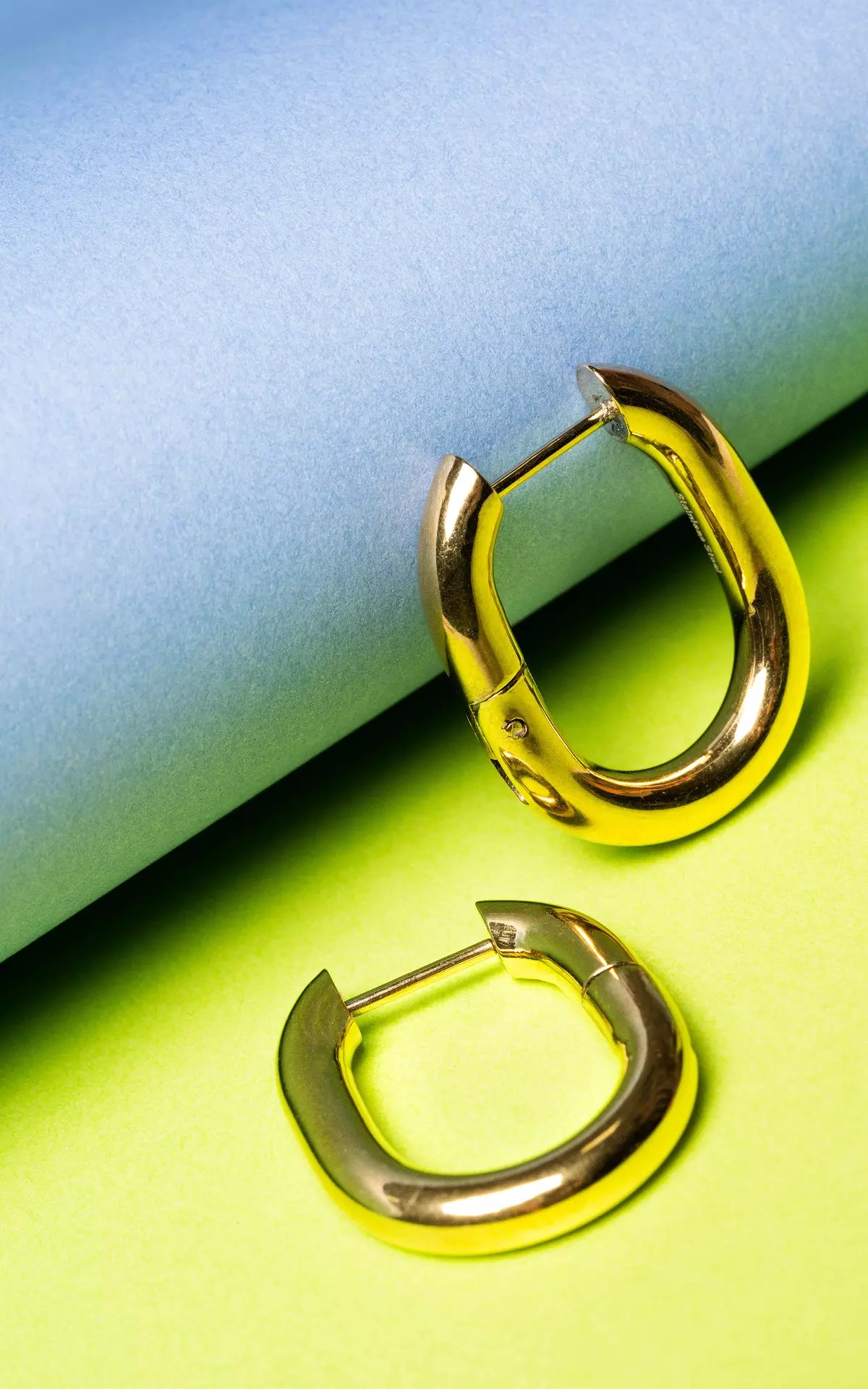 Stainless steel earrings Gold Guts & Gusto