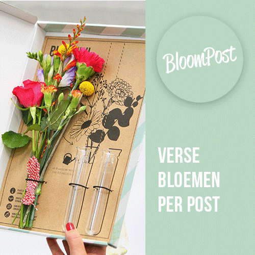 Groetjes Doen.nl | Brievenbusbloemen
