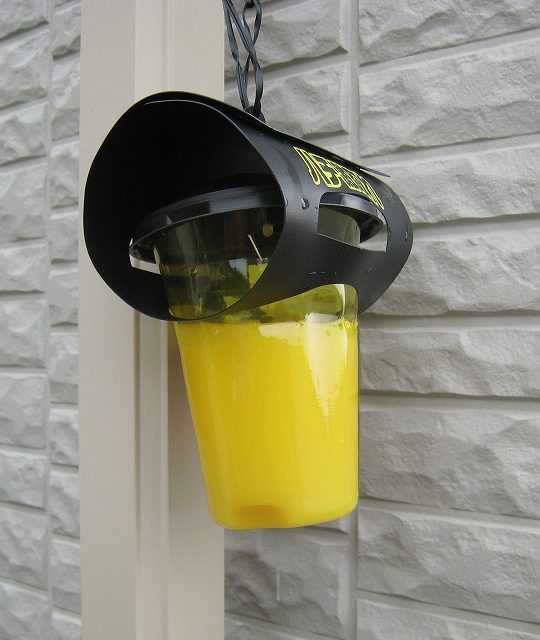 ペットボトル製スズメバチトラップをハチ激取れに交換してみた いじって楽しむブログ