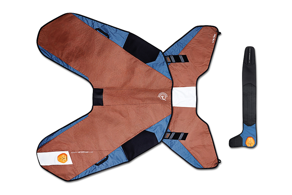 BEMER Pro Set Life Improved BEMER Rentals