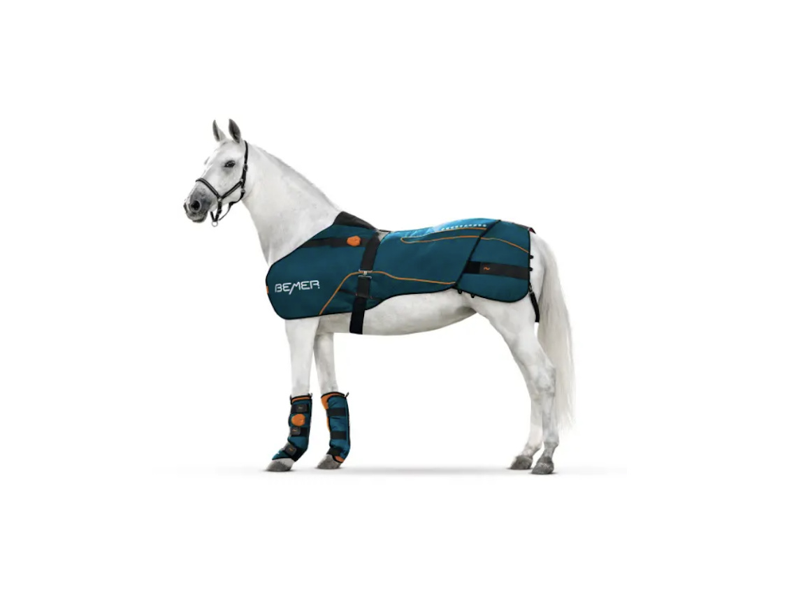 BEMER Horse Set (V3) Life Improved BEMER Rentals