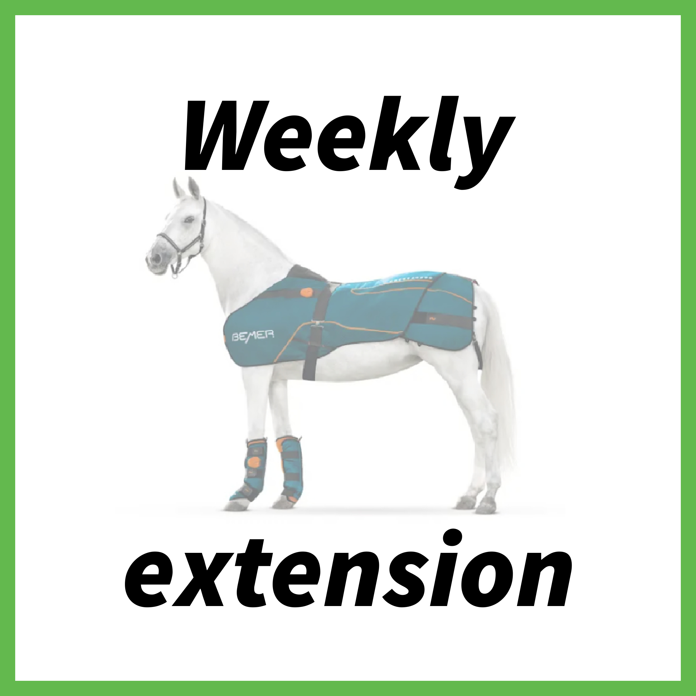Weekly Rental Extension for BEMER Horse Set Life Improved BEMER Rentals