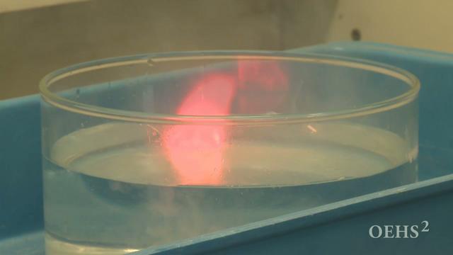 Sodium Reaction With Water (HD 2009) on Vimeo