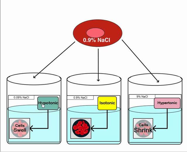 isotonic definition What is