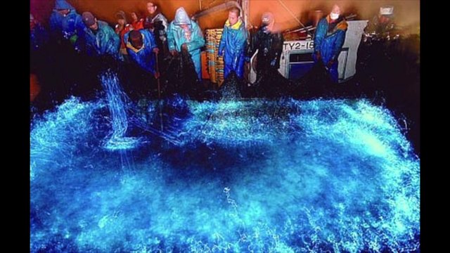 Puerto Rico's glowing lagoon goes nearly dark Democratic Underground