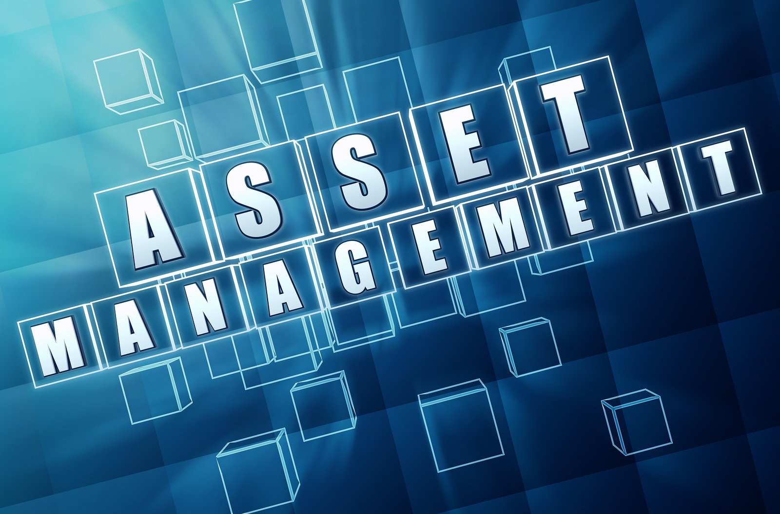 B14.LPS*. Asset, Management, Company; And, Programming, Language,