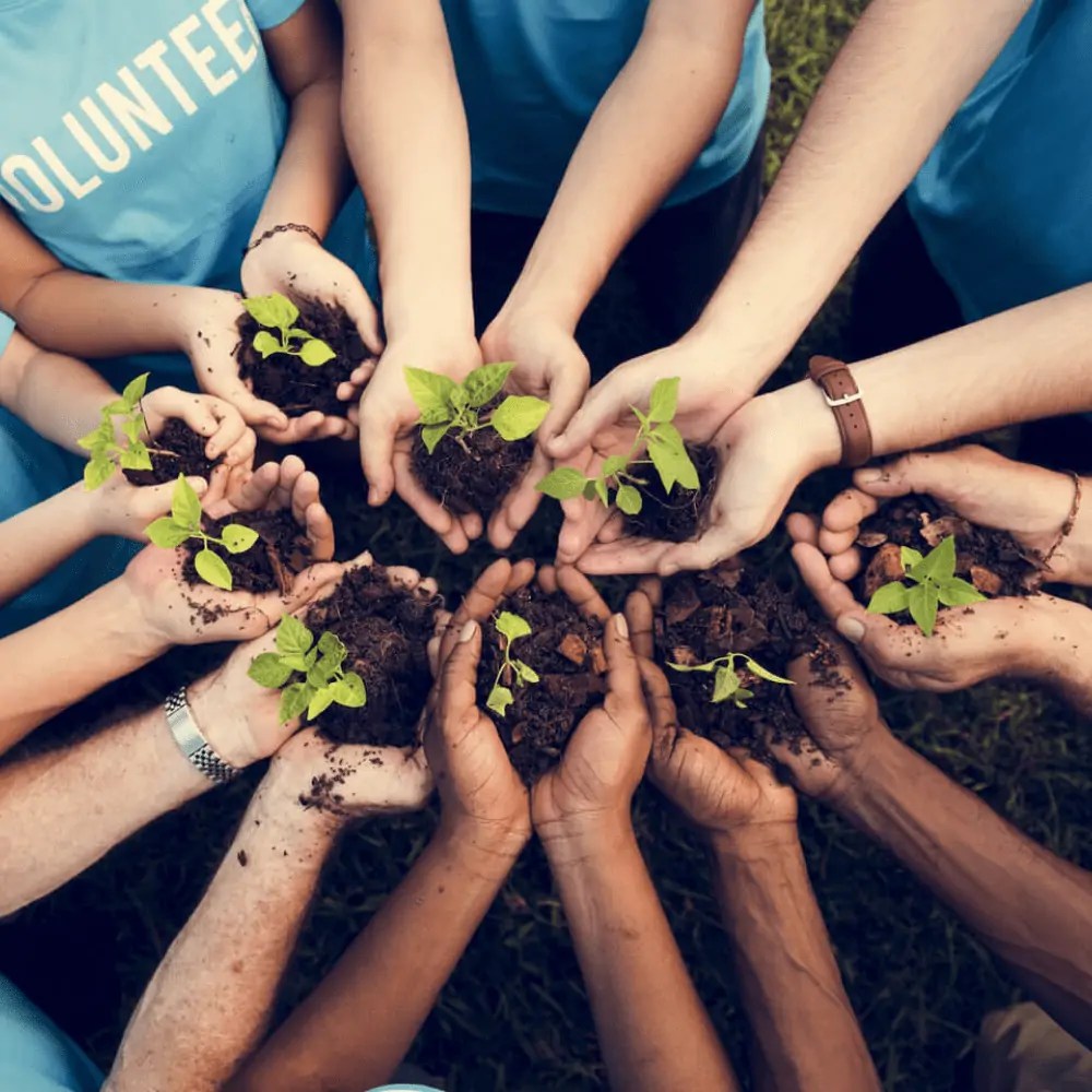 US Charity Email List Charity Organizations Email Database