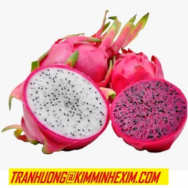 Dragon Fruit Supply From Vietnam Fresh, Frozen and Puree